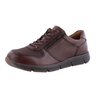 Solidus 67025 kai bruin
