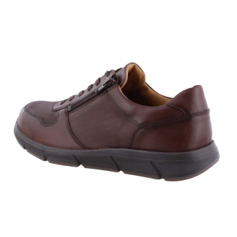 Solidus 67025 kai bruin