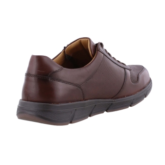 Solidus 67025 kai bruin