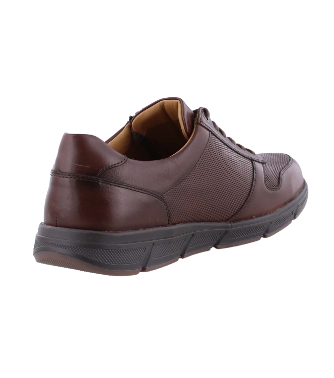 Solidus 67025 kai bruin