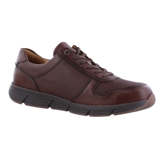 Solidus 67025 kai bruin