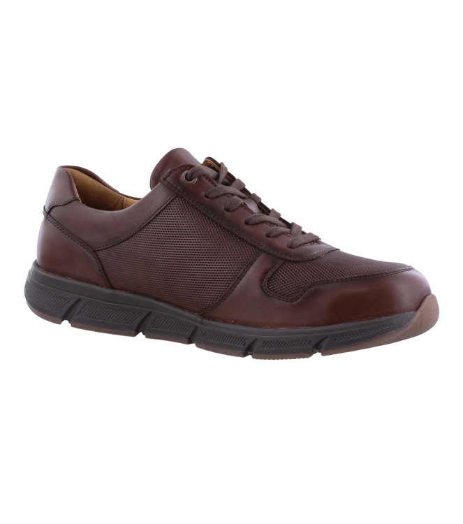 Solidus 67025 kai bruin