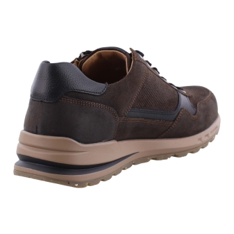 Mephisto Bradley bruin