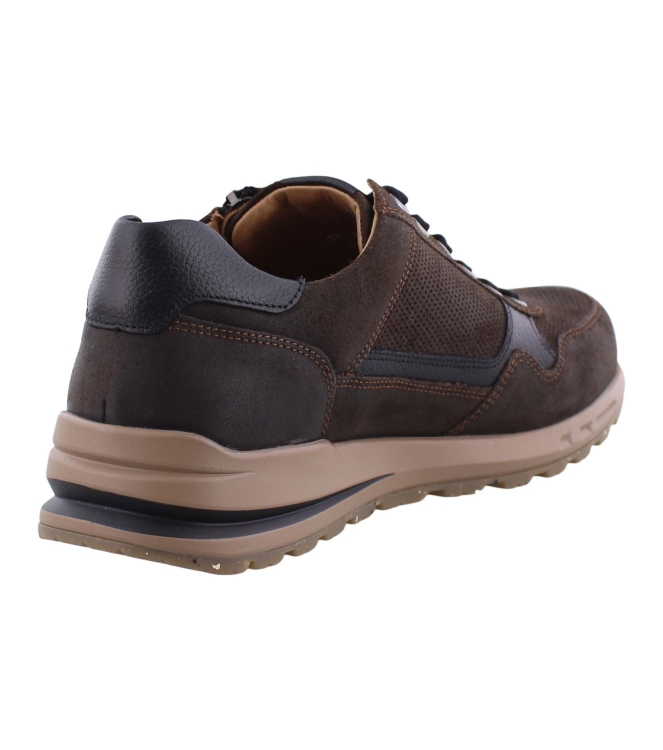 Mephisto Bradley bruin