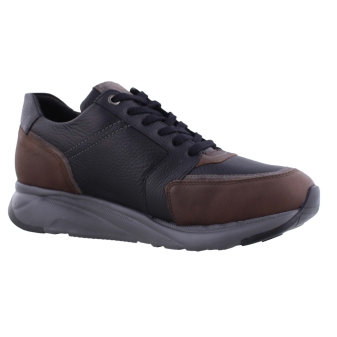 Mephisto Isaac bruin