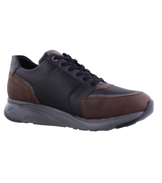 Mephisto Isaac bruin