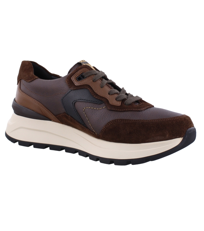 Mephisto Cruz bruin