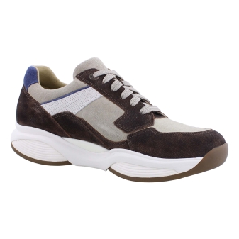 Xsensible 30088.2 SWX14 bruin
