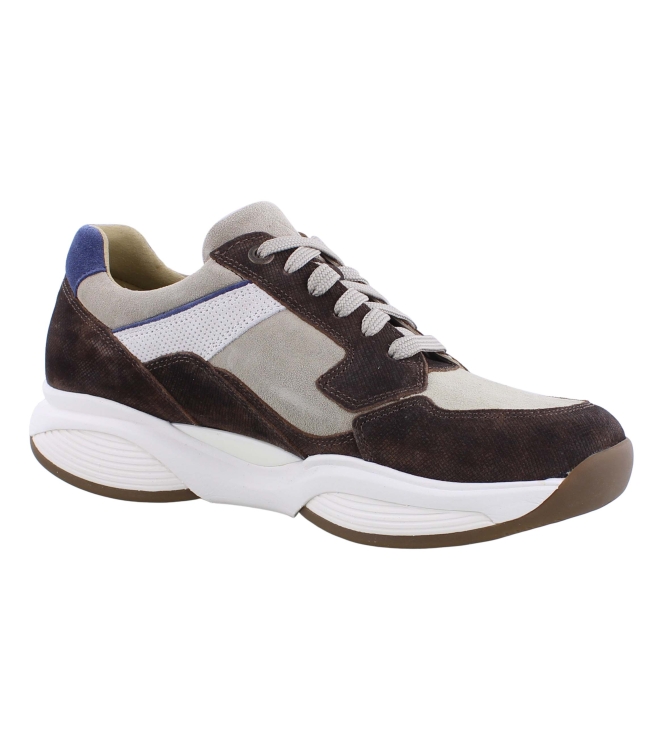 Xsensible 30088.2 SWX14 bruin