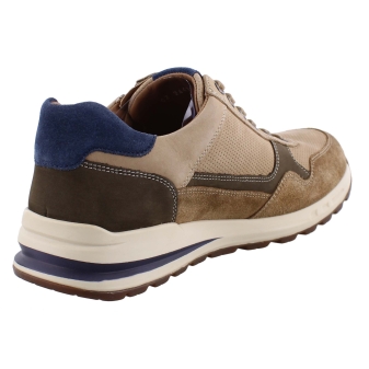 Mephisto Bradley bruin