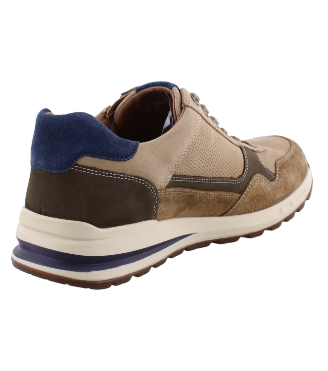Mephisto Bradley bruin