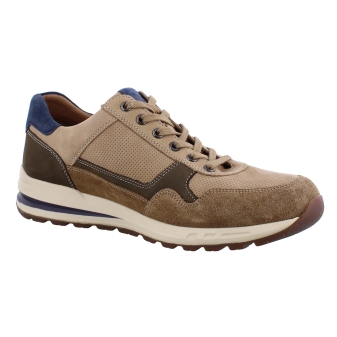 Mephisto Bradley bruin