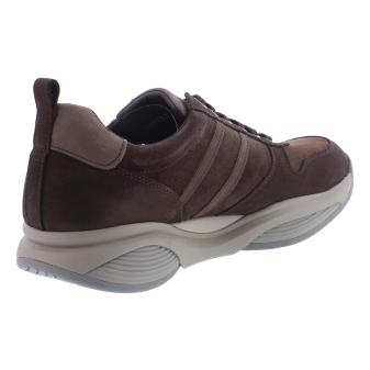 Xsensible 30073.2 SWX3 bruin