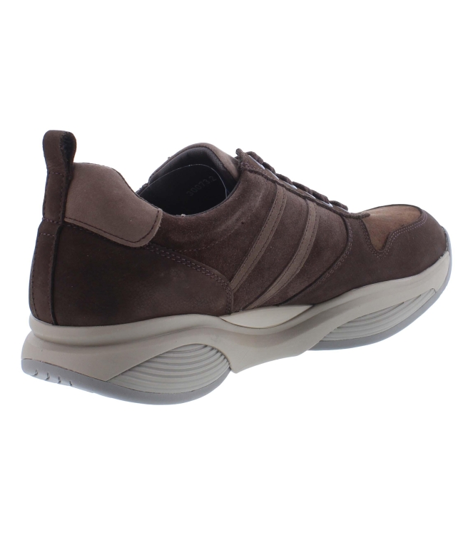 Xsensible 30073.2 SWX3 bruin