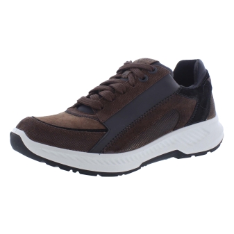 Xsensible 34201.2 bruin