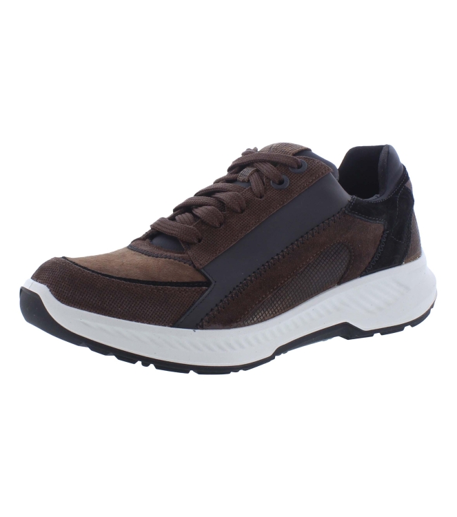 Xsensible 34201.2 bruin