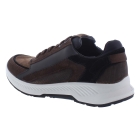 Xsensible 34201.2 bruin