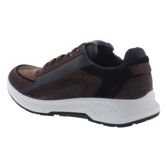 Xsensible 34201.2 bruin