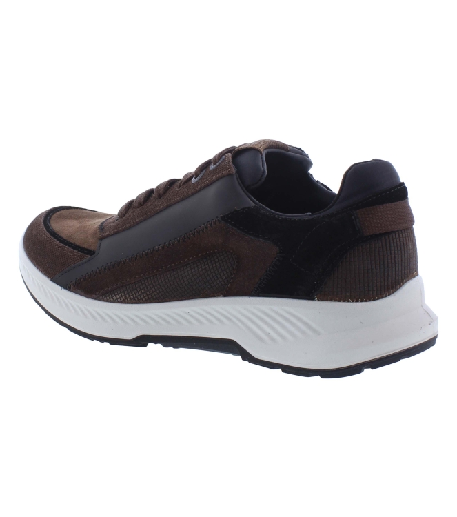 Xsensible 34201.2 bruin