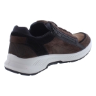 Xsensible 34201.2 bruin