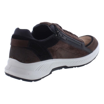 Xsensible 34201.2 bruin
