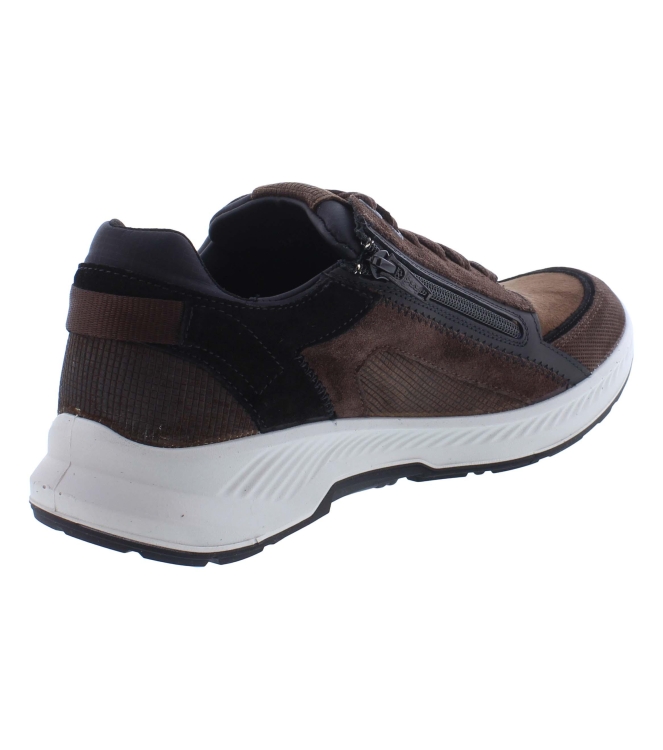Xsensible 34201.2 bruin