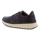 Pikolinos ARANDA M8R-6448C1 bruin