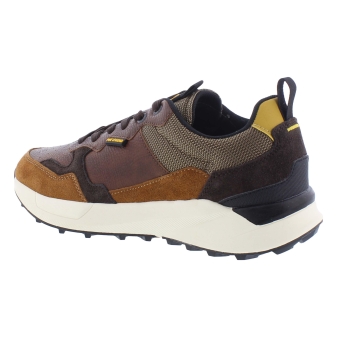 PME PBO2508060 Notcher bruin