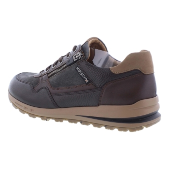 Mephisto Bradley bruin