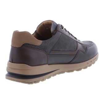 Mephisto Bradley bruin