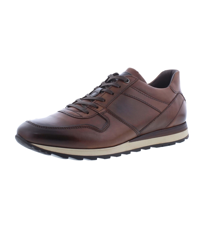 Greve 7243.81 Fury bruin
