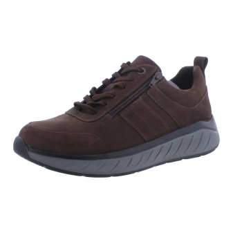 Solidus 71501 Ken bruin
