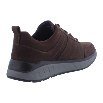 Solidus 71501 Ken bruin