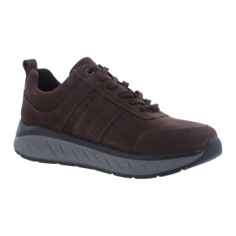 Solidus 71501 Ken bruin