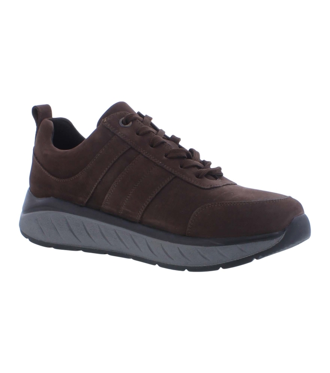 Solidus 71501 Ken bruin