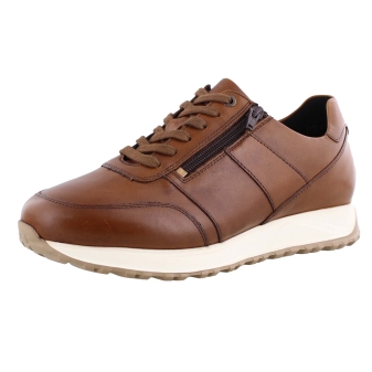 Solidus 83010 cognac