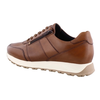 Solidus 83010 cognac