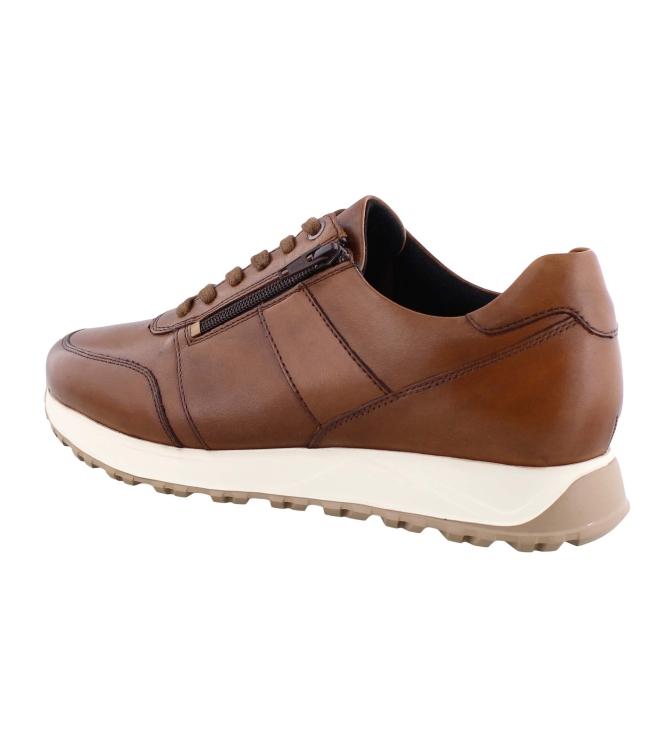 Solidus 83010 cognac