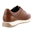 Solidus 83010 cognac