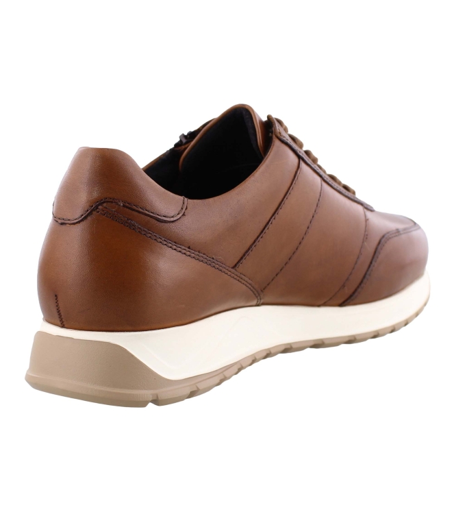 Solidus 83010 cognac