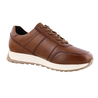 Solidus 83010 cognac