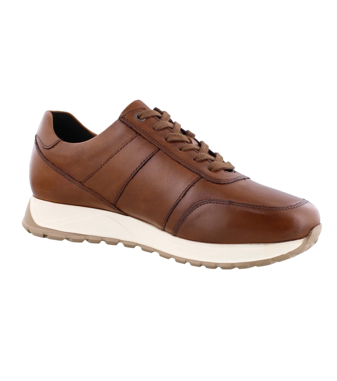 Solidus 83010 cognac