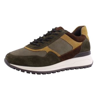 Ara 11-26801-16 olive