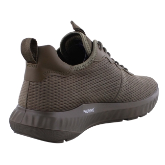 Ecco 834904 groen