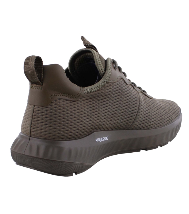 Ecco 834904 groen
