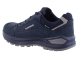 Lowa 311867 Renegade EVO GTX lo blauw