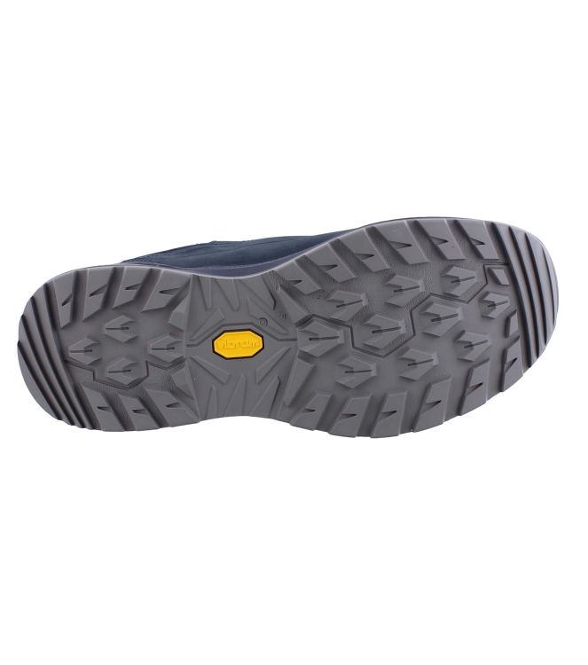 Lowa 311867 Renegade EVO GTX lo blauw