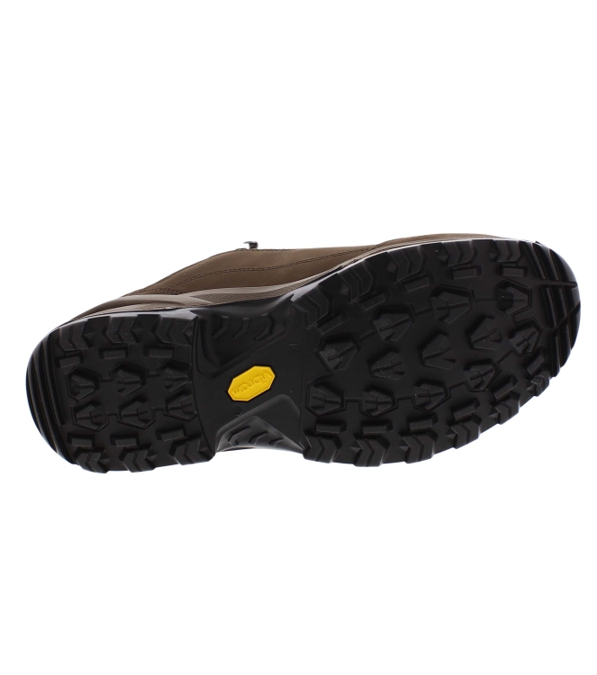 Lowa 310963 Renegade GTX Lo bruin