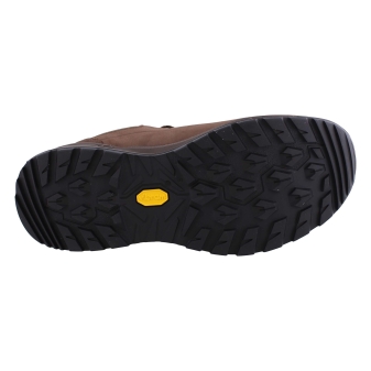 Lowa 311867 Renegade EVO GTX Lo bruin