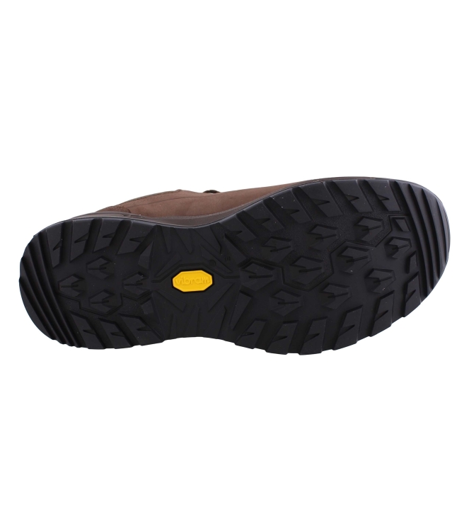 Lowa 311867 Renegade EVO GTX Lo bruin